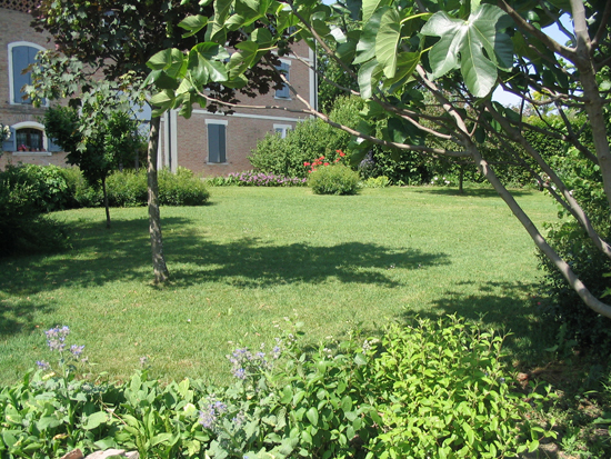 Altro esempio di giardino realizzato a Modena