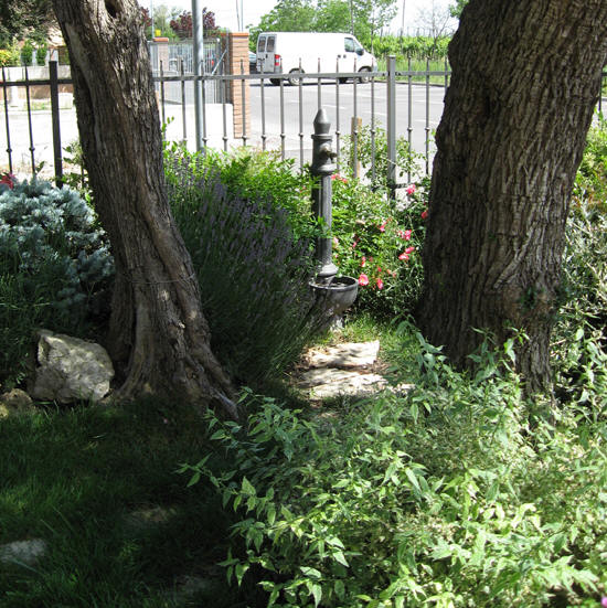 Manutenzione Giardini e prati -Modena