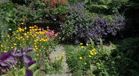 Realizzazione di un giardino - i particolari