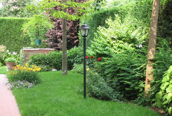 Realizzazione piccolo giardino - Modena